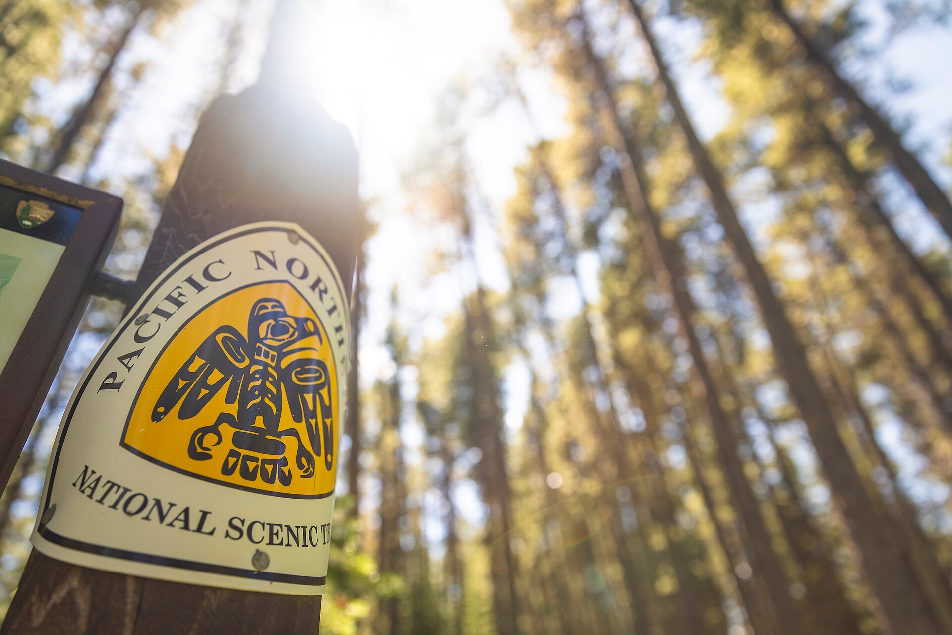 A hiker on the Pacific Northwest National Scenic Trail