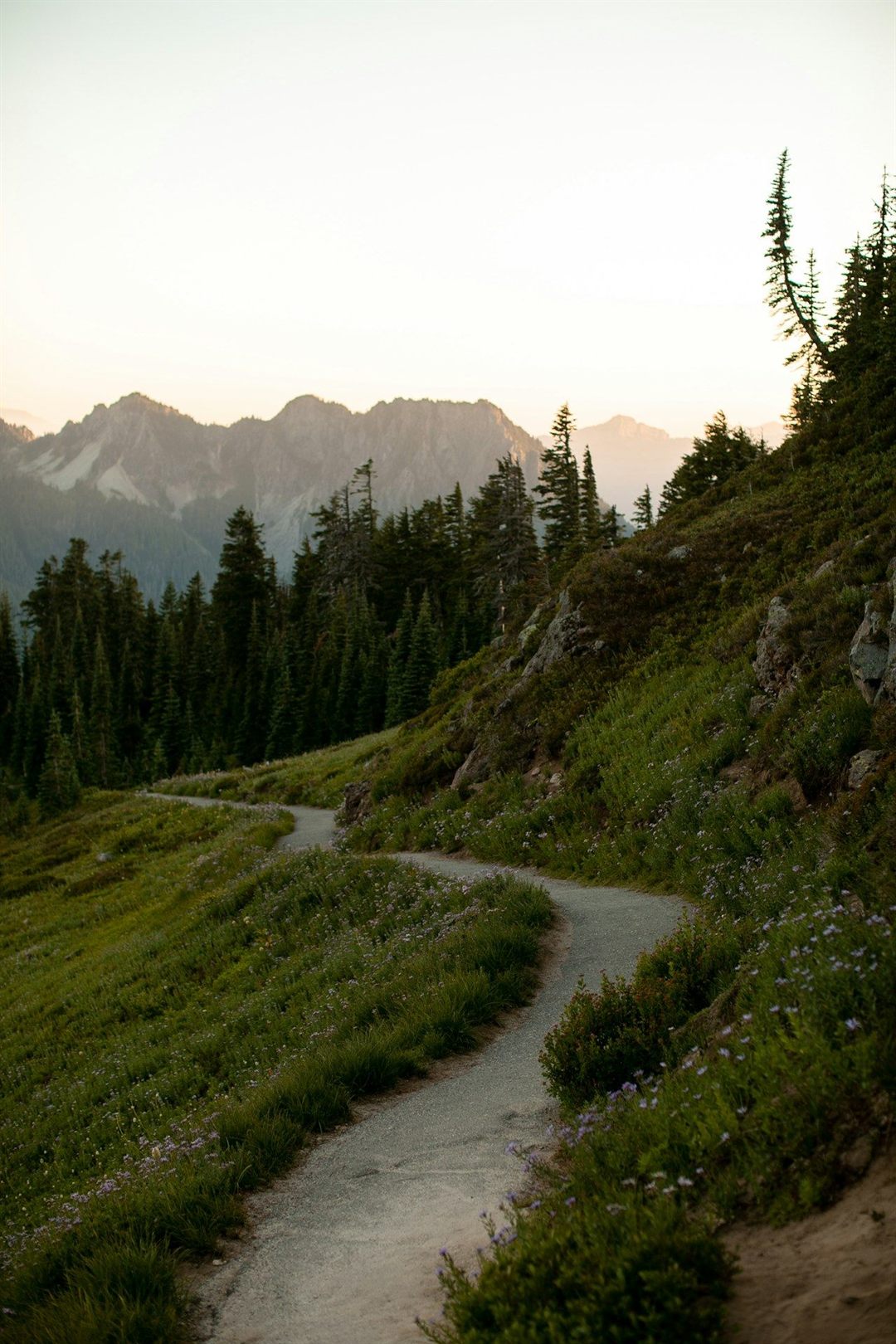 Through Rainforests and Ridges: Conquering the Pacific Northwest Trail