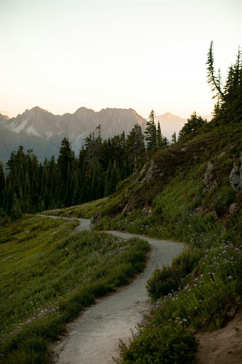 Through Rainforests and Ridges: Conquering the Pacific Northwest Trail