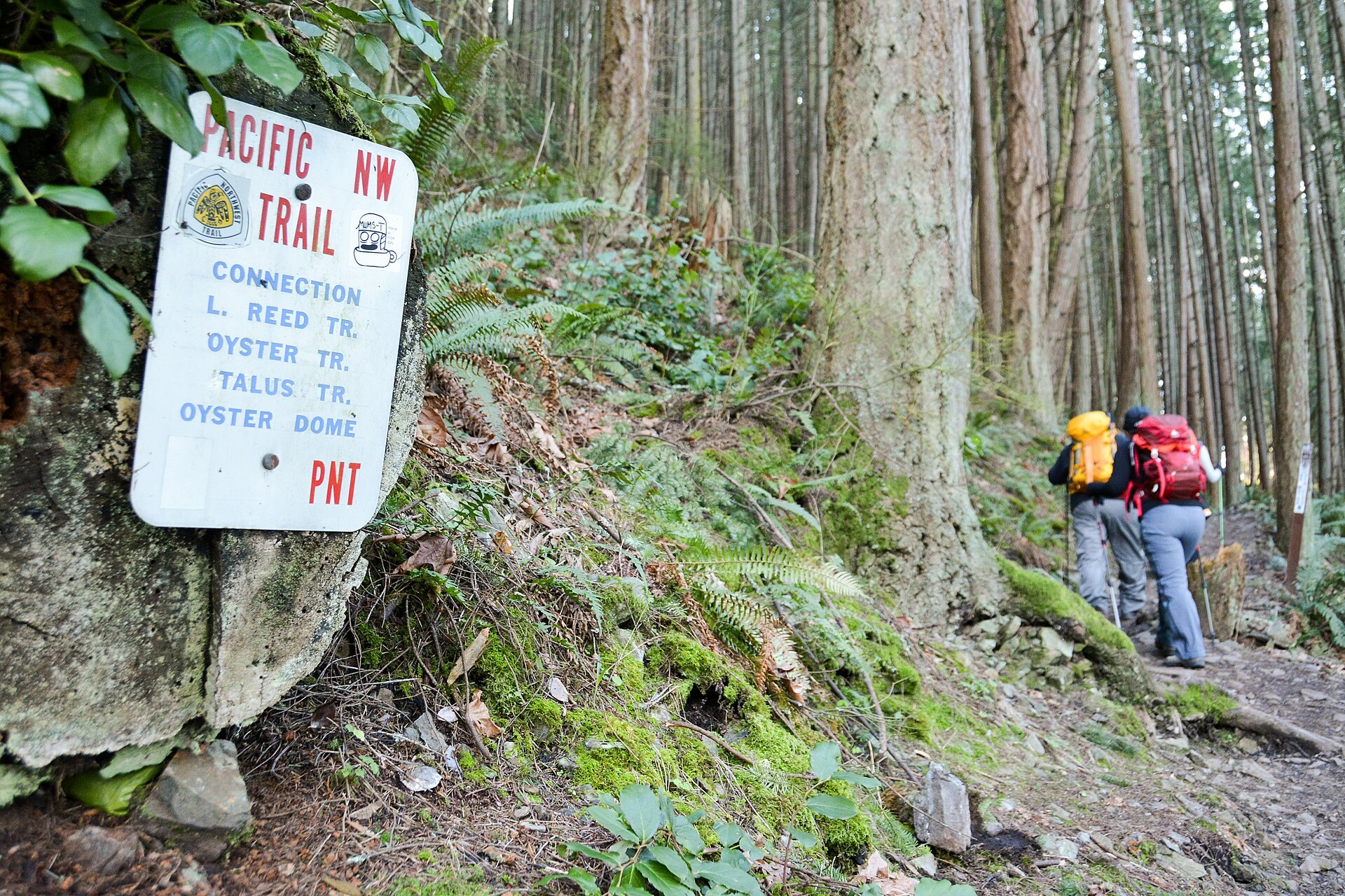 Mountain scenery along the Pacific Northwest Trail