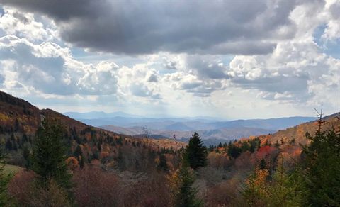 Thru-Hiking 101: Preparation, Challenges and the Best Thru-Hikes