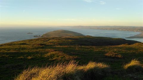 Trekking the Tomales Point Trail: A Hiking Adventure You Won’t Forget