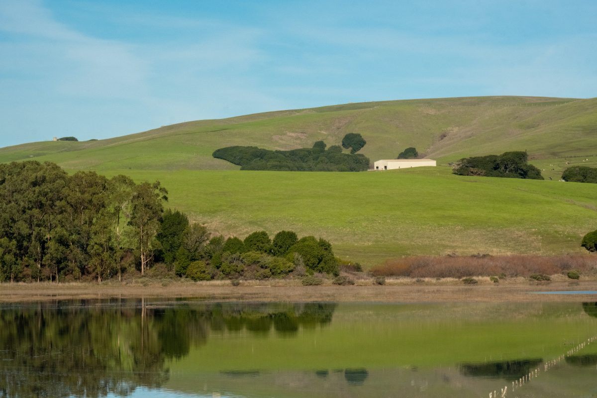Tomales Bay