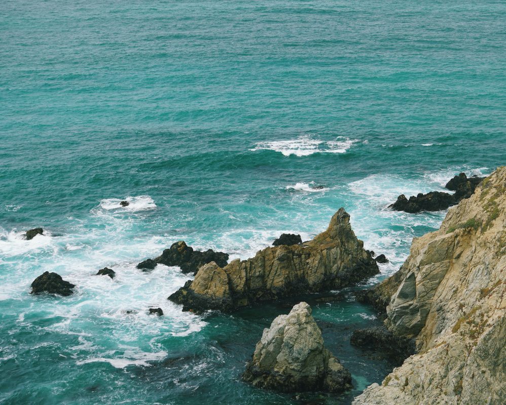 Tomales Point Trail
