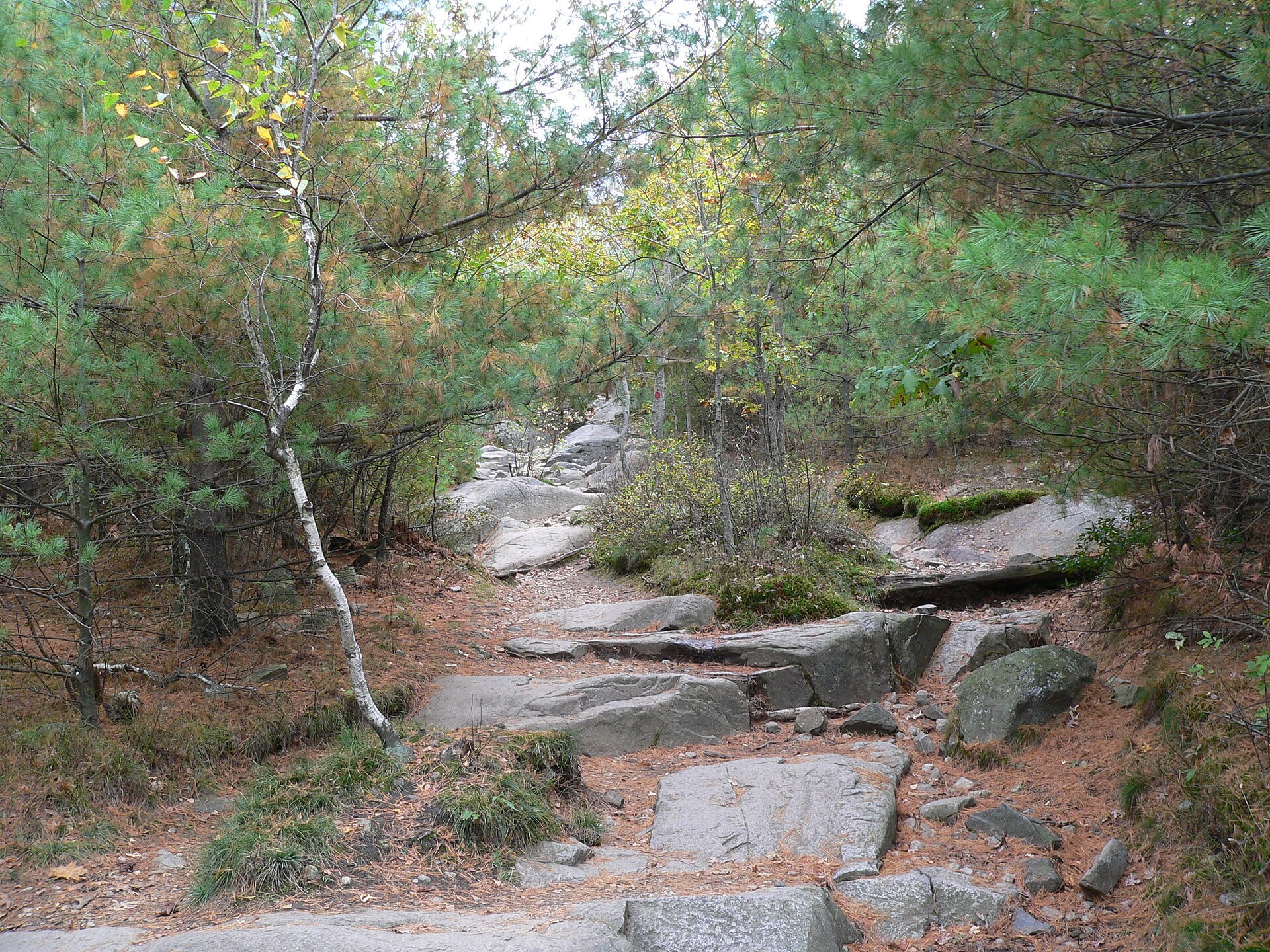 Woodland and hills in Blue Hills Reservation