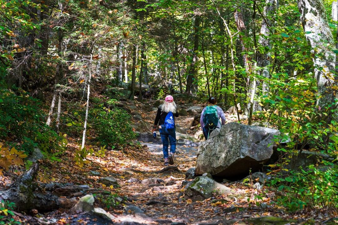 Top Boston Hiking Trails