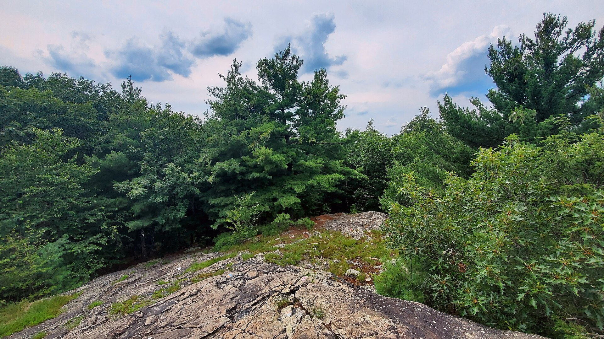 The Rock Circuit Trail through Middlesex Fells