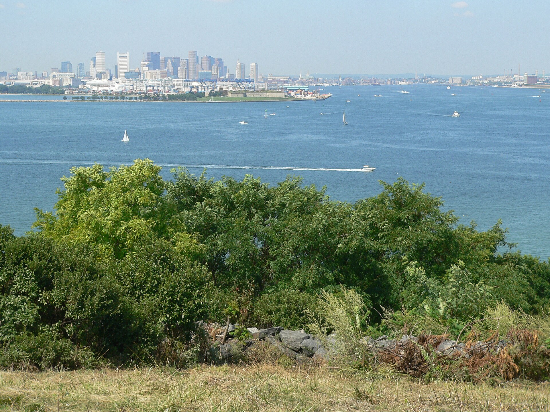 A green landscape on Spectacle Island in Boston Harbor
