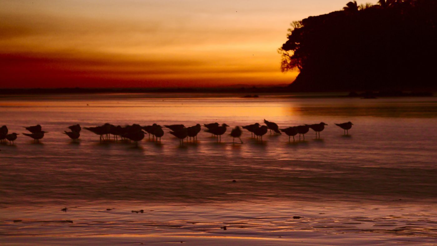 Dawn in Santa Catalina Island