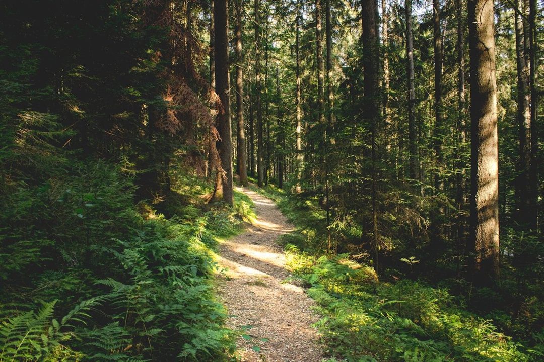 Trekking Through History and Nature: The Best Hikes in Germany for Every Season
