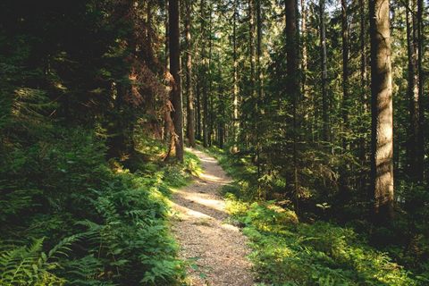 Trekking Through History and Nature: The Best Hikes in Germany for Every Season