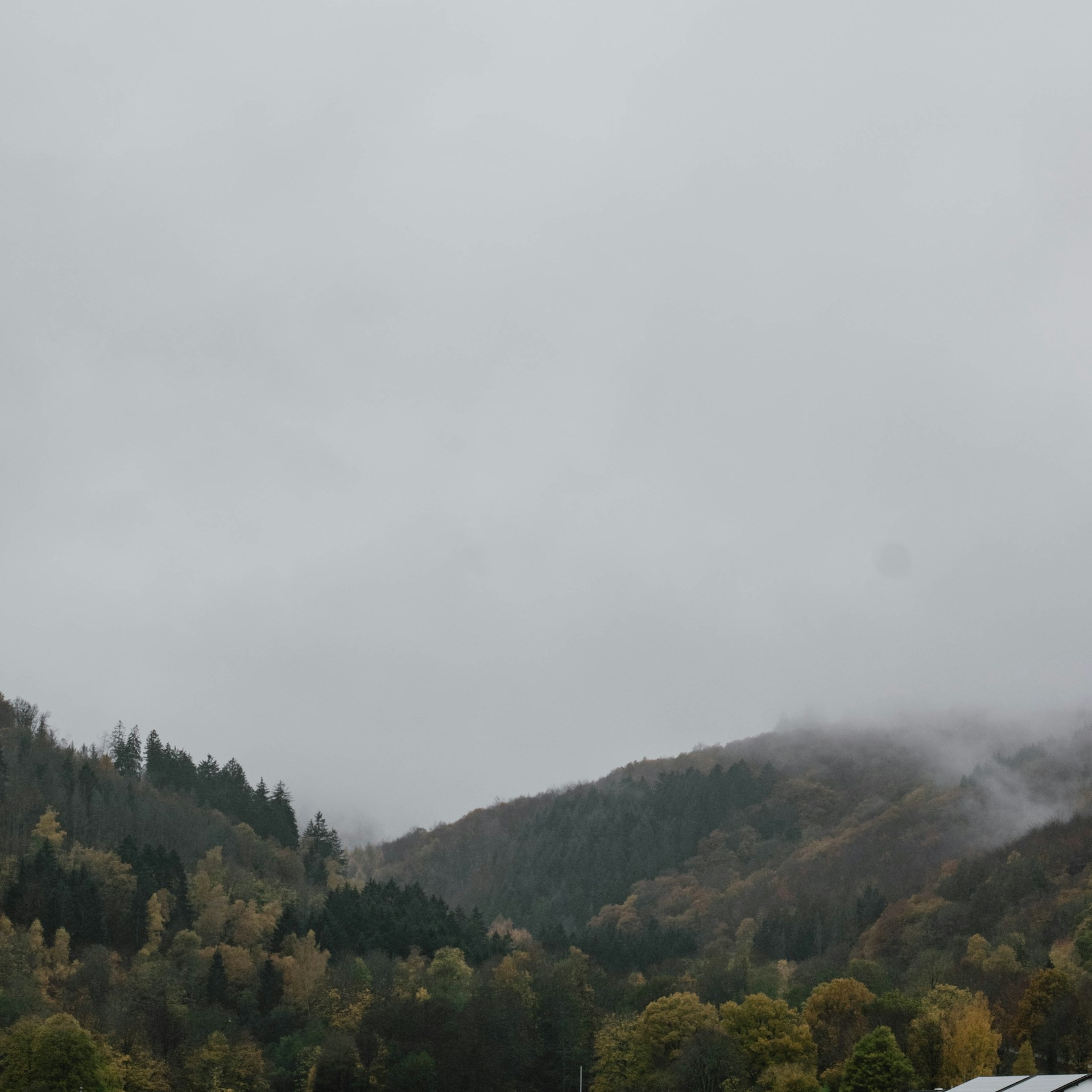 Forested hills and valleys in Eifel National Park