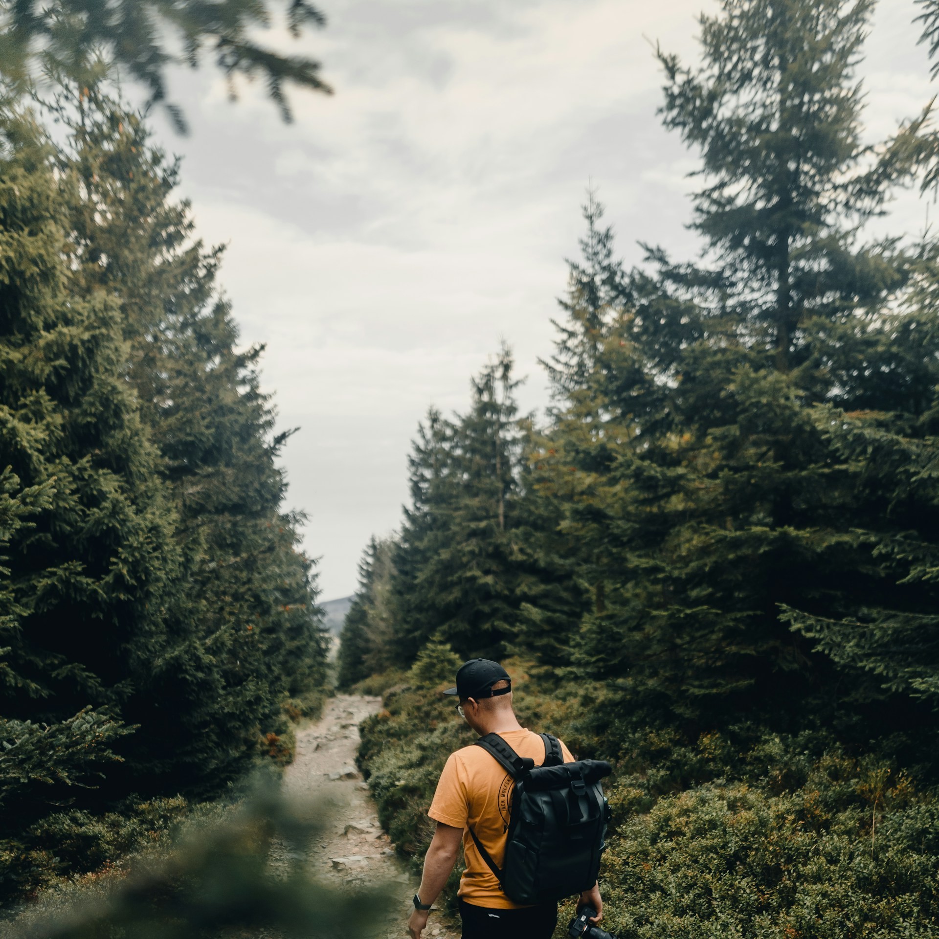 A backpacker hiking through the forest in Harz National Park