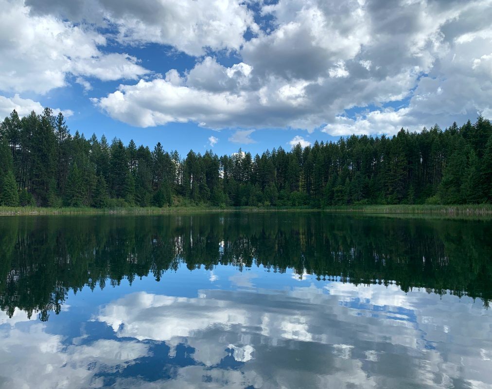 Kettle Falls