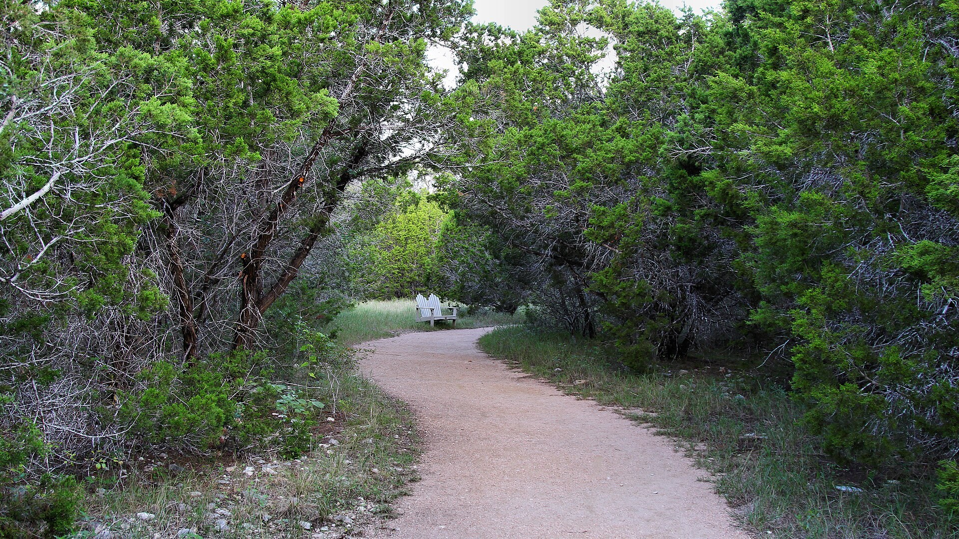 The wooded Discovery Trail at Government Canyon near San Antonio