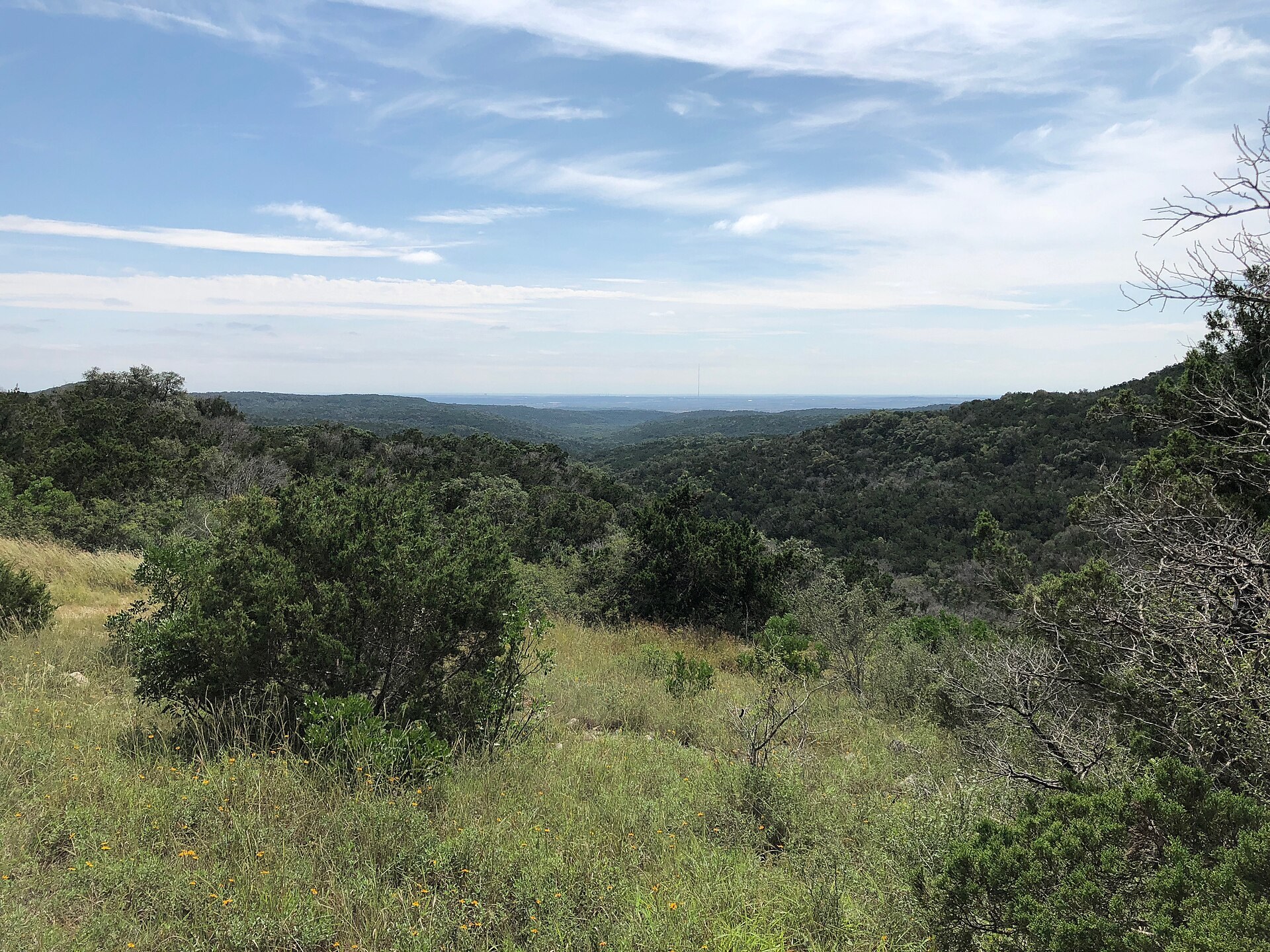 A broad view across Government Canyon State Natural Area