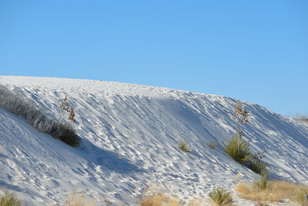white-sands-national-monument