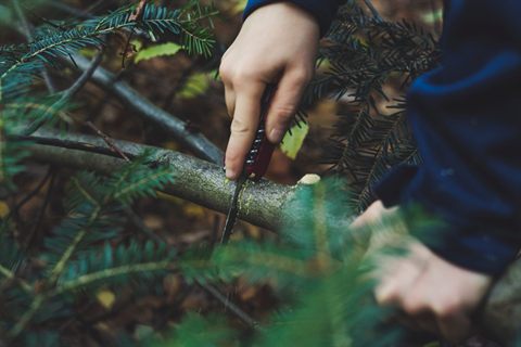 Essential Wilderness Survival Skills for Backpackers