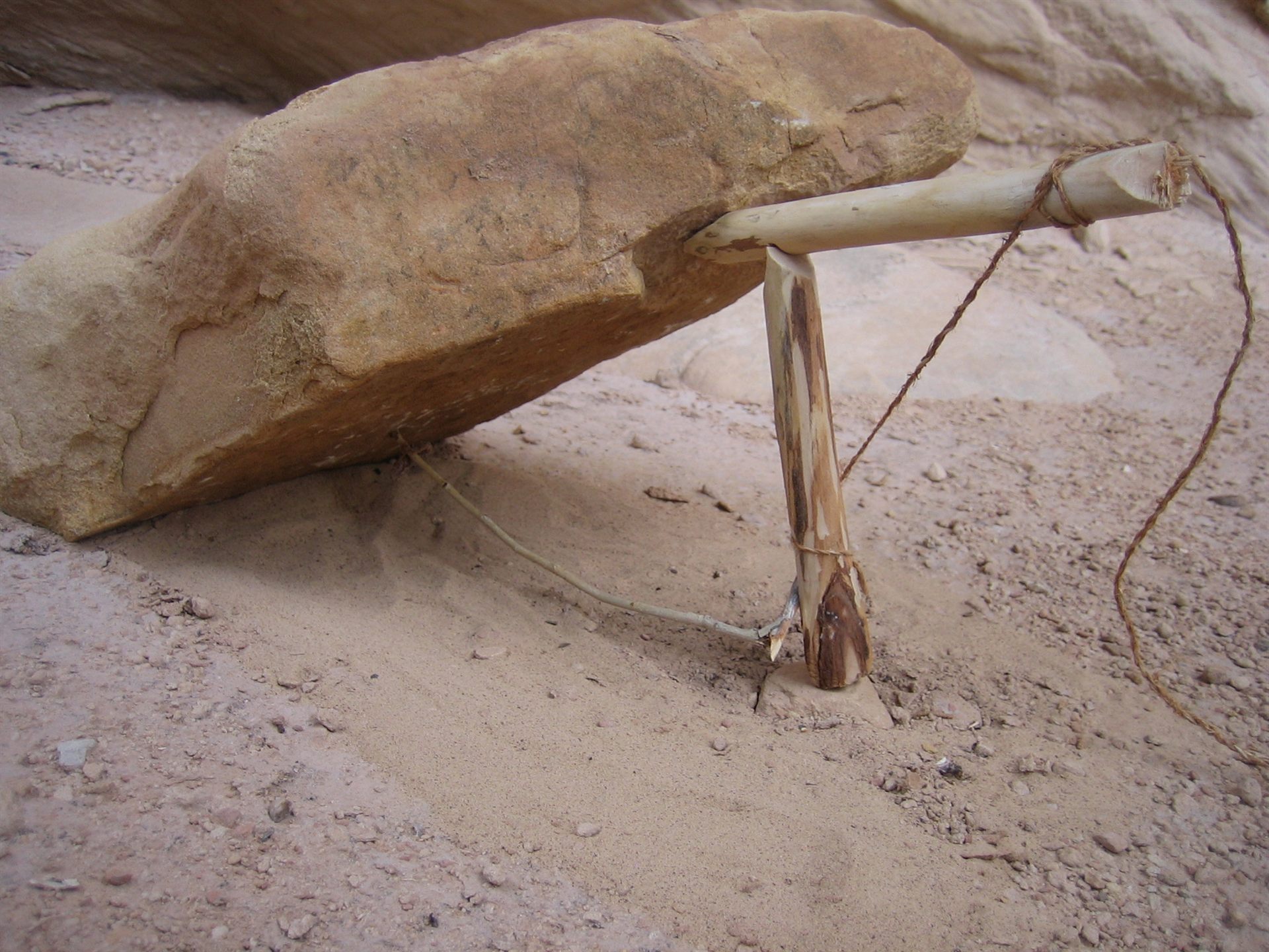 deadfall trap