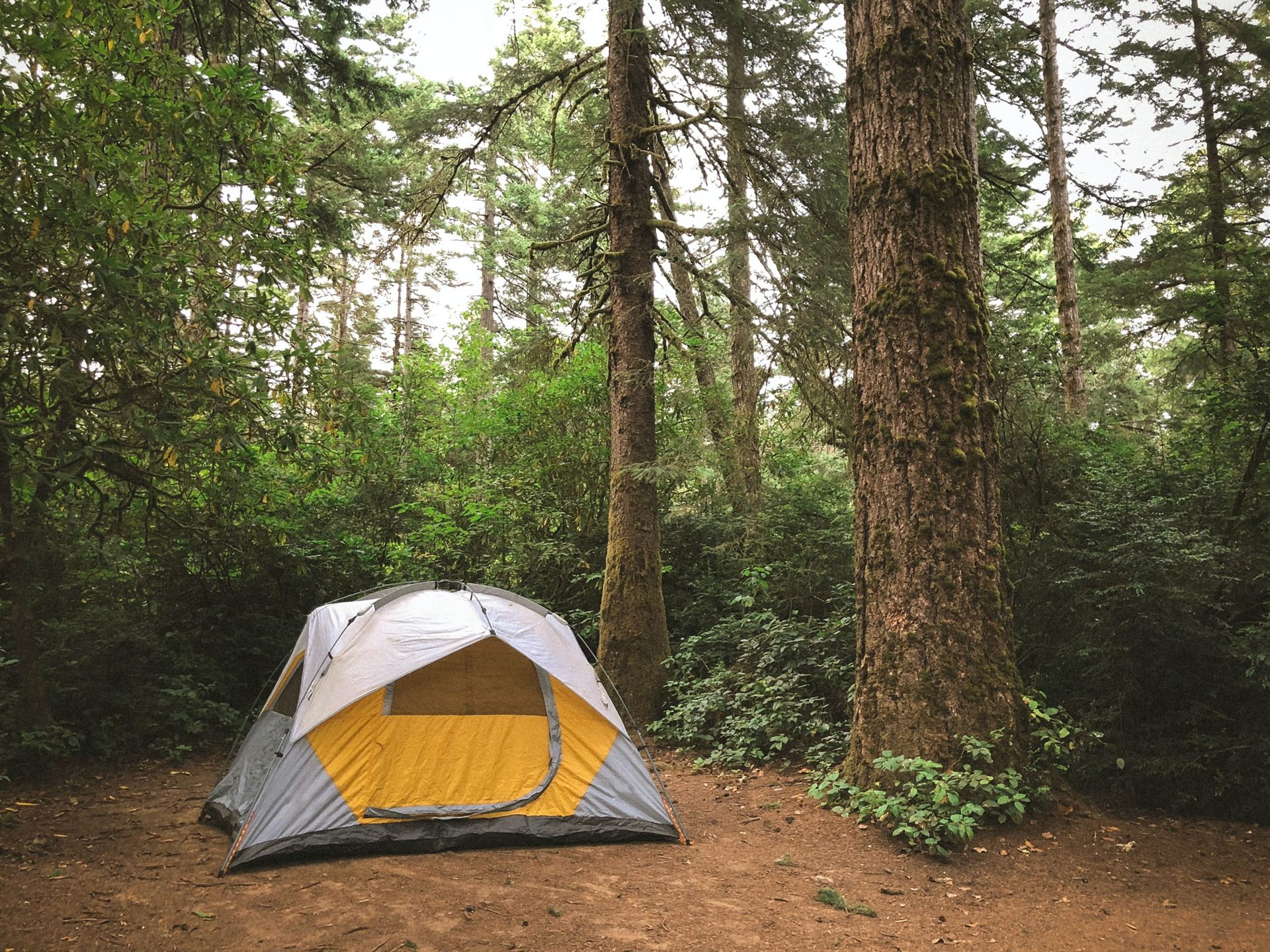 tent as shelter for wilderness survival