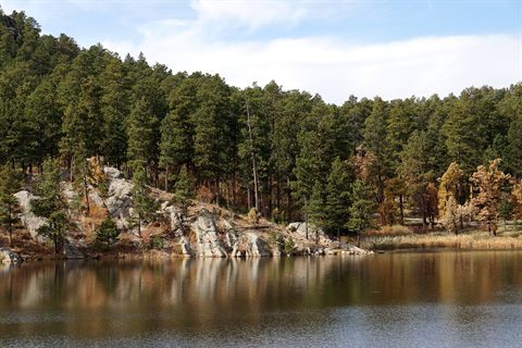 Wind Cave National Park: Uncovering Hidden Wonders and Fascinating Depths