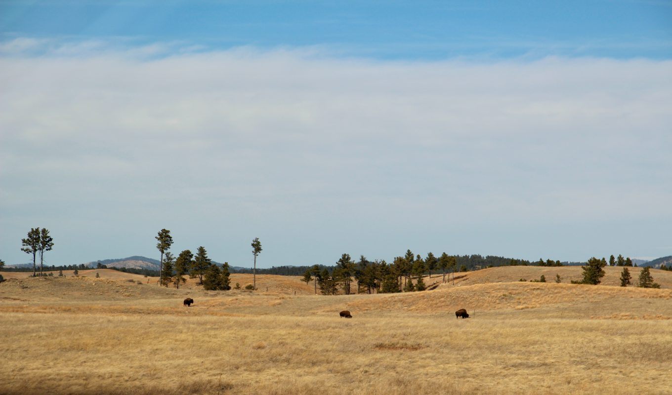 Daytime in Wind Cave National Park