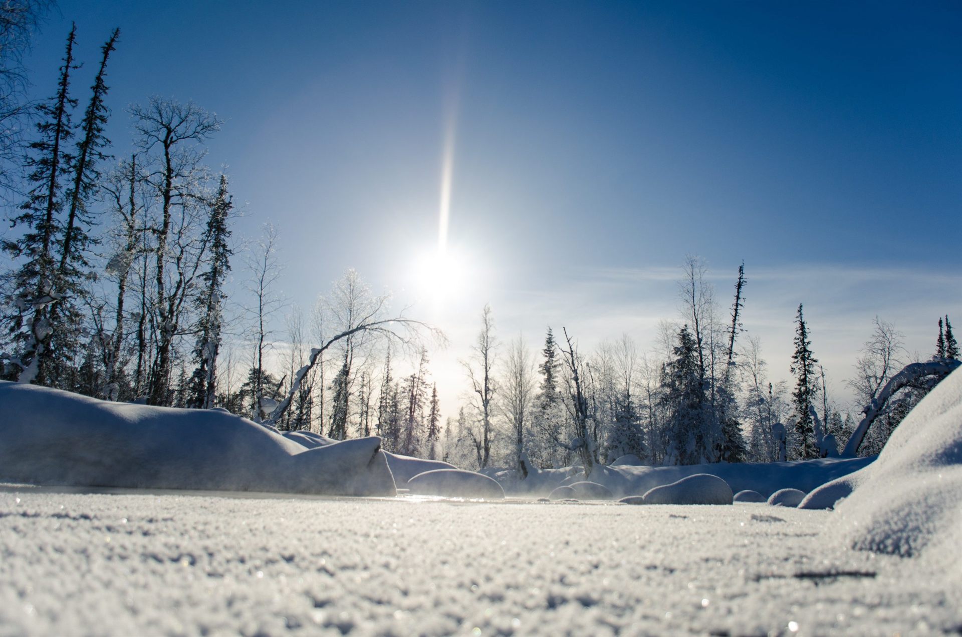 winter wonderland