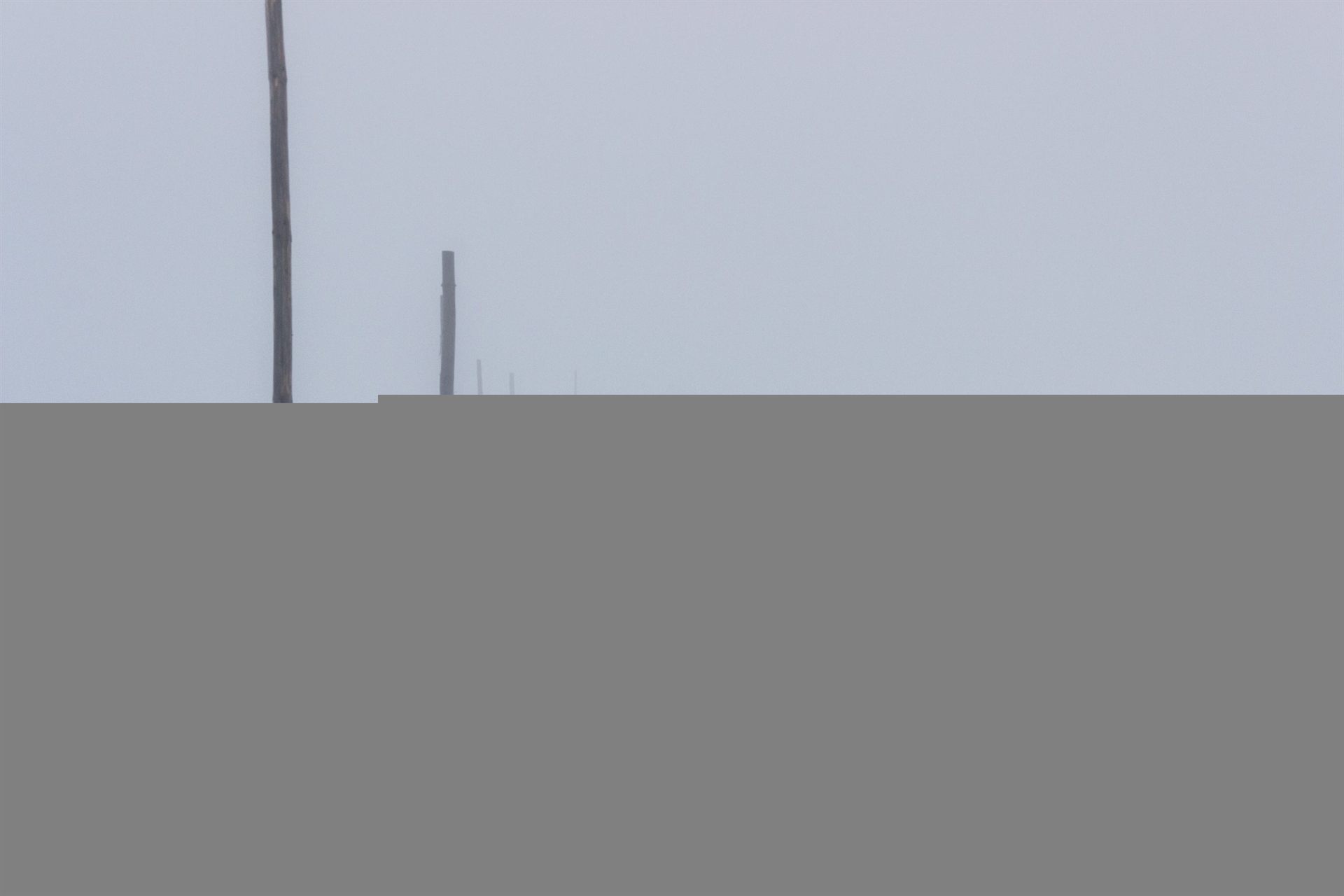 hikers in winter experiencing low visibility 