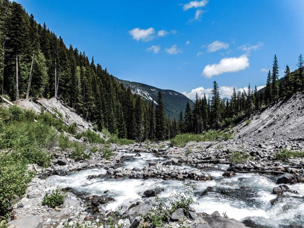 Section of a river in Mount Rainier park