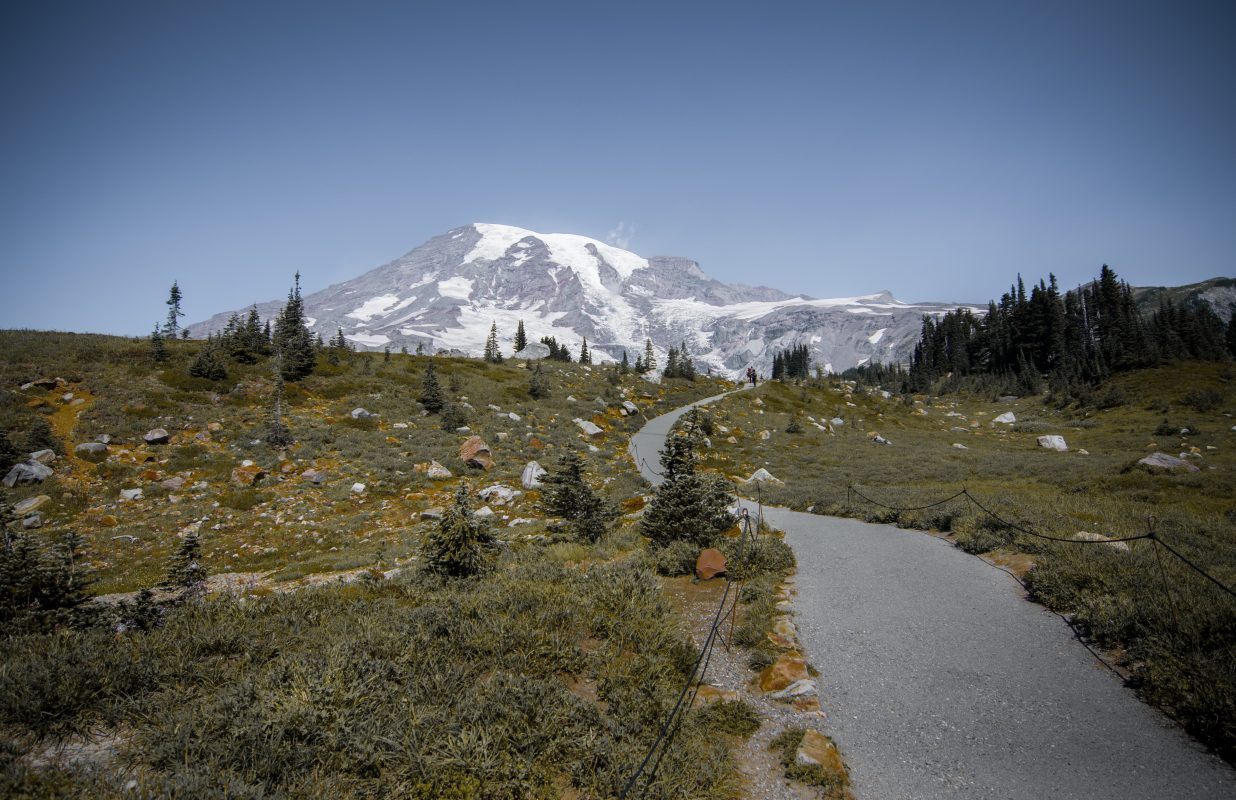 Trail in Mount rainier Park