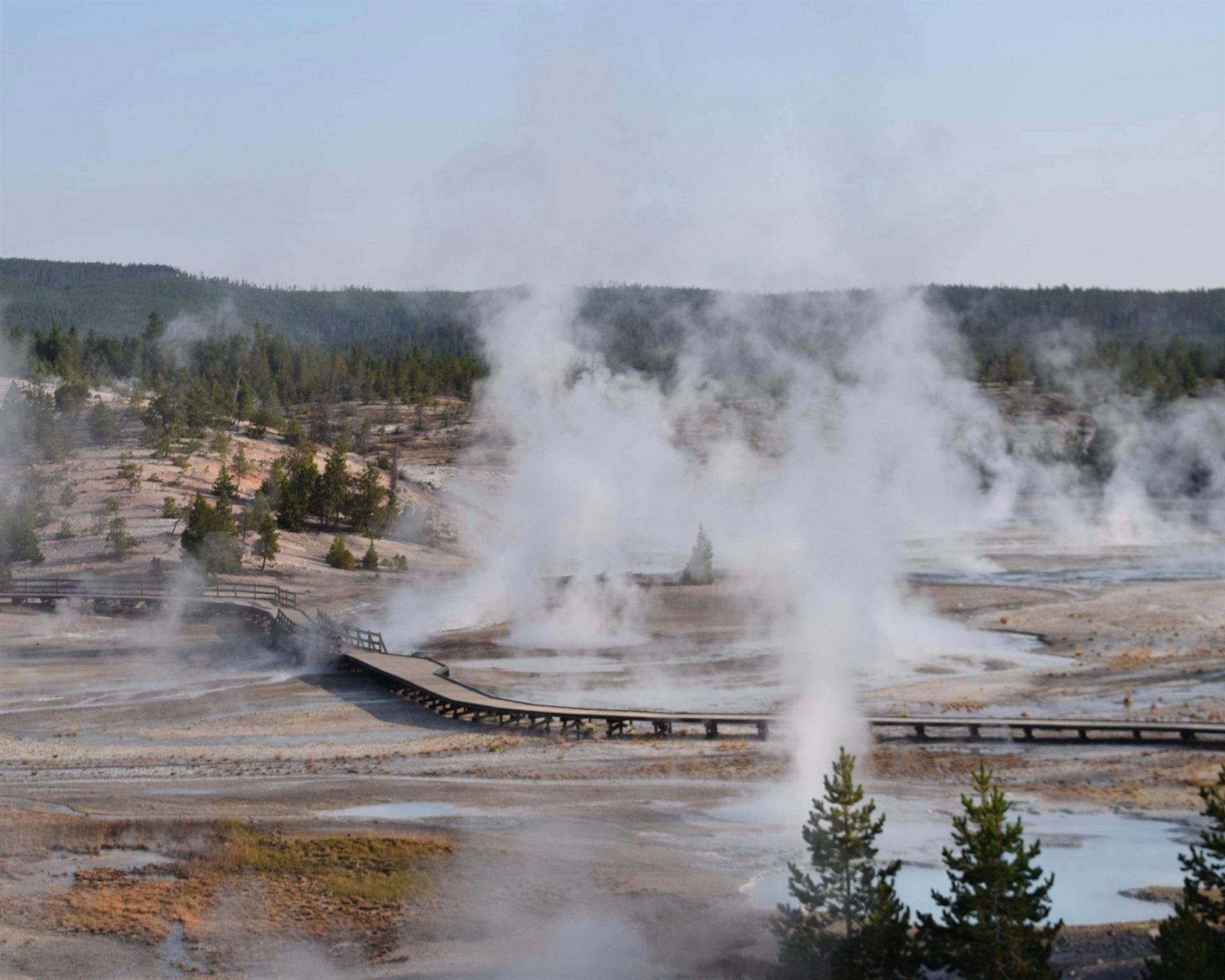Norris Geyser Basin, Yellowstone National Park