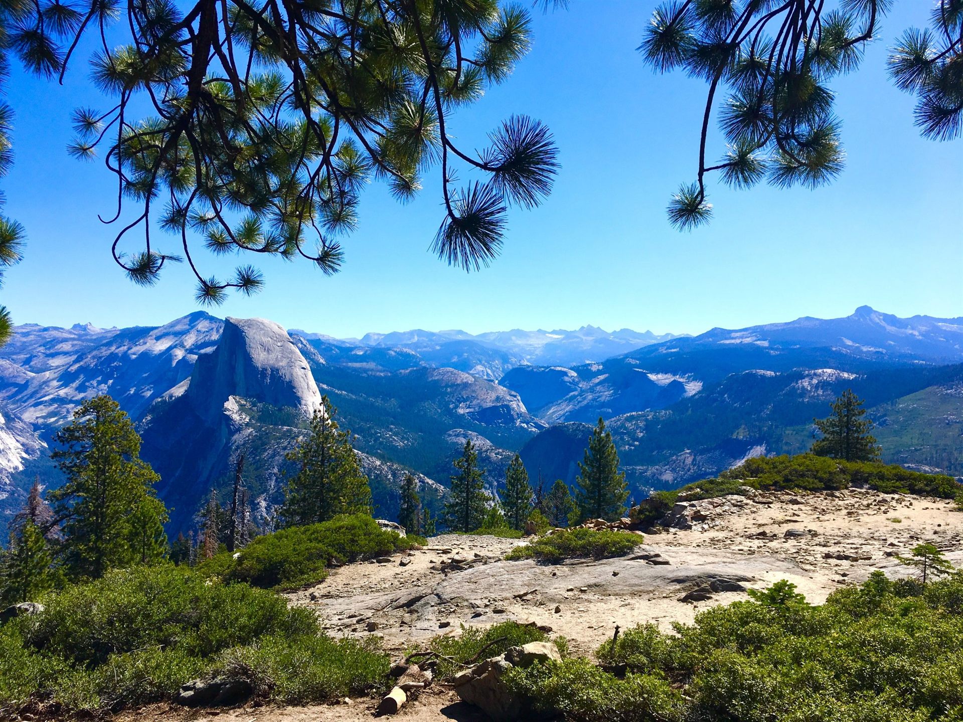 View of Half Dome in Yosemite