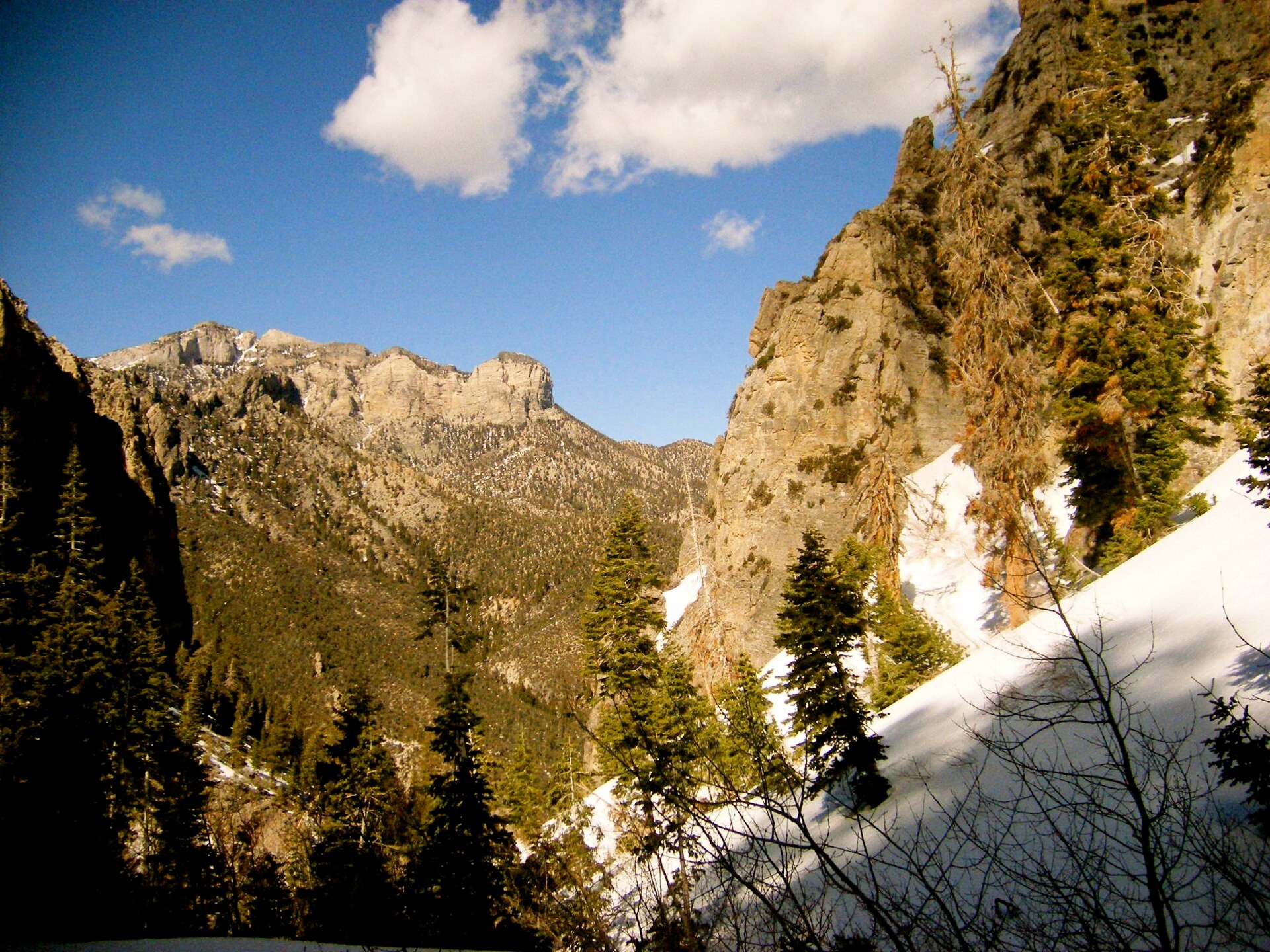 Mountain scenery from the Cathedral Rock Trail at Mount Charleston