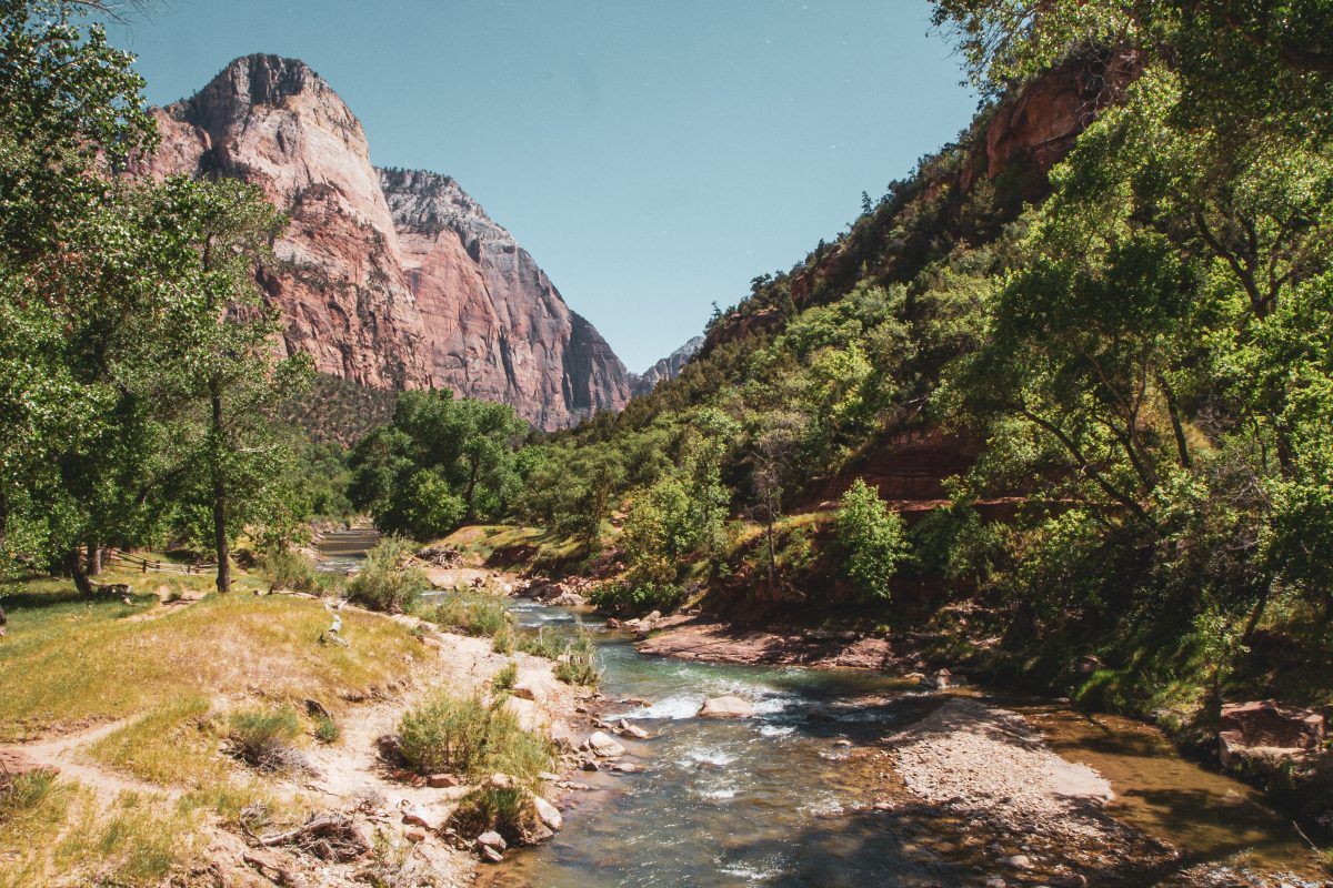 Creek in Zion National Park